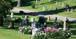 Jackson's Chapel